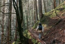 Alpinunfall © Envato Elements