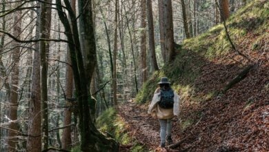 Alpinunfall © Envato Elements